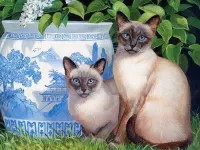 Jigsaw Puzzle Siamese cats