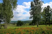 Zagadka Siberian summer