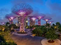 Rompecabezas Singapore garden