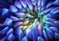 Puzzle blue petals