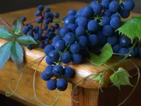Puzzle blue grapes