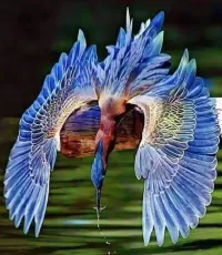 Слагалица Blue bird