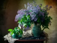 Rompicapo Lilac