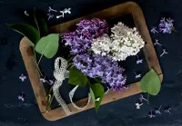 Quebra-cabeça Lilac and lace