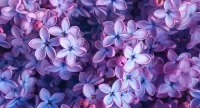 Puzzle Lilac flowers