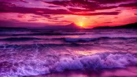 Quebra-cabeça Lilac sunset