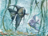 Quebra-cabeça Angelfish