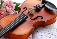 Puzzle Violin and sheet music