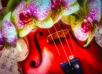 Puzzle Violin and orchids