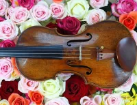 Quebra-cabeça Violin and roses