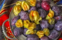 Слагалица Plums and Physalis