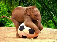 Пазл Слоненок и мяч
