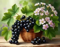 ジグソーパズル カリキュラム