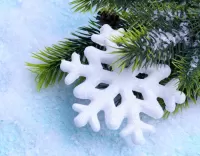 Jigsaw Puzzle Snowflake