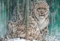 Puzzle Snow leopards
