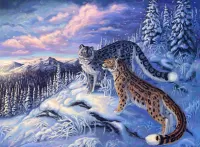 Rompicapo Snow leopards