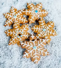 Quebra-cabeça Snow gingerbread
