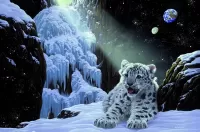 Puzzle Snow leopard