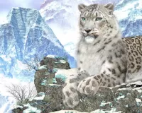Quebra-cabeça Snow leopard