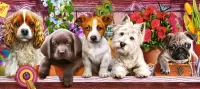 Puzzle Dogs