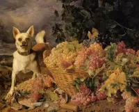 Слагалица The dog and the grapes