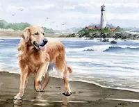 Puzzle Dog by the sea