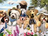 Jigsaw Puzzle Dogs 1