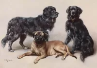 Quebra-cabeça Dogs