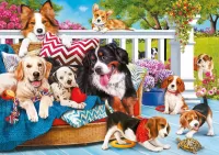 Jigsaw Puzzle Dogs and turtle
