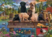 Jigsaw Puzzle Dogs and ducks