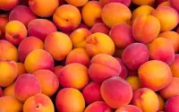 Puzzle Juicy apricots