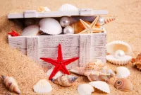 Jigsaw Puzzle Treasures from the sea