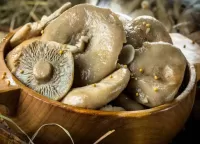 Quebra-cabeça Salted mushrooms