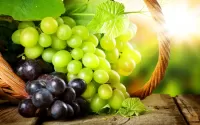 Jigsaw Puzzle Sunny grapes