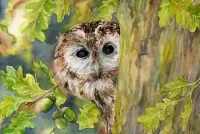 Rompecabezas Owl on oak