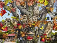 Jigsaw Puzzle Owls