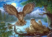 Rompecabezas Owls