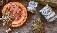Jigsaw Puzzle Owls and gingerbread