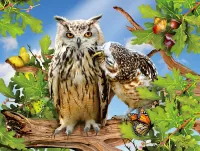 Jigsaw Puzzle Owls on the oak