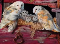 Jigsaw Puzzle Owls in the nest