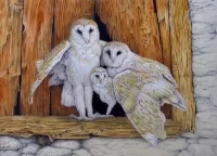 Rompecabezas Owl family