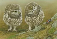 Слагалица The owlets and the beetle