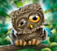 Bulmaca Owlet