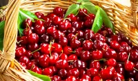 Zagadka Ripe cherry