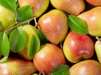 Jigsaw Puzzle Ripe pears