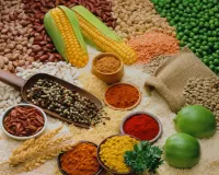 Puzzle Spices and cereals