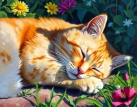 Пазл Спящий кот