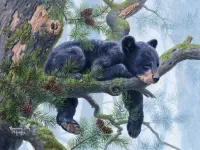 Puzzle sleeping bear cub