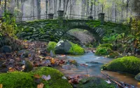 Пазл Старый мост в лесу