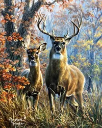 Jigsaw Puzzle stately deer